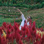 Profile Picture of Leo.Tung (@leo.tung3) on Instagram