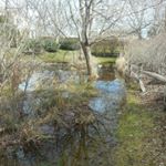 Profile Picture of Barry Plunkett (@bwplunkett) on Instagram