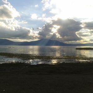 Profile Picture of Rogelio Arechiga (@RogelioArechig1) on Twitter