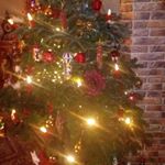 Annette Noll - Instagram Profile Picture of Annette Noll (@annette_noll) on Instagram