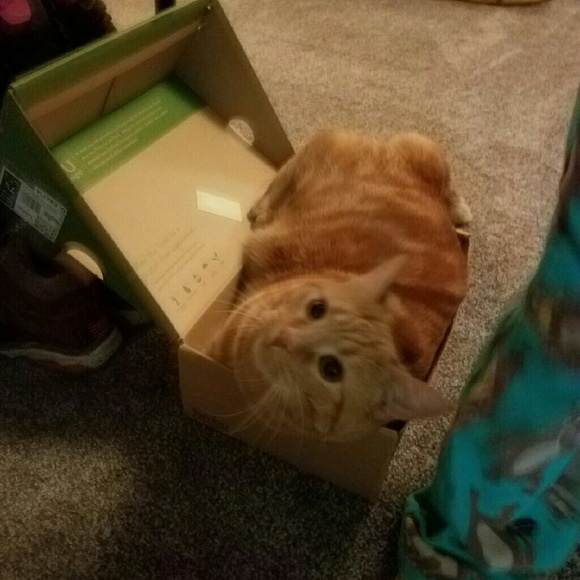 Profile Picture of Mandy Krasa (@ceejay1220) on Poshmark