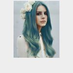 Profile Picture of Brandon Drawbaugh (@brandonddrawbaugh) on Instagram