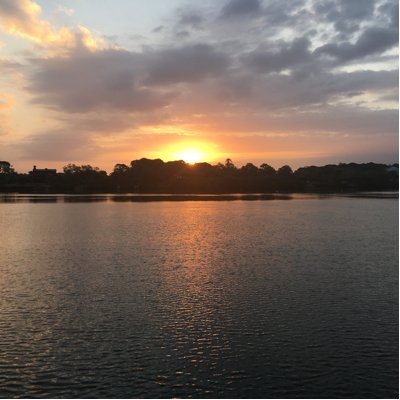 Profile Picture of Chris Williamson (@cwcwill) on Twitter