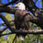 Profile Picture of Barbara Melton (@barb j melton) on Flickr