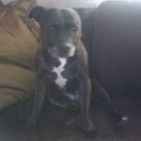 Profile Picture of Darryll Roy Robinson (@darryll.robinson1) on Myspace