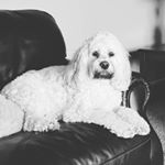 Profile Picture of Lori 'Gildea' Lowry (@lori.g.lowry) on Instagram