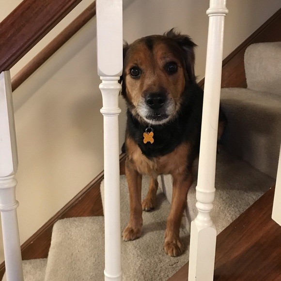 Scott Greenlee - Poshmark Profile Picture of Scott Greenlee (@scottg713) on Poshmark