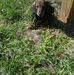 Profile Picture of Nancy Vaughn Thetford (@nancy.thetford.5) on Facebook