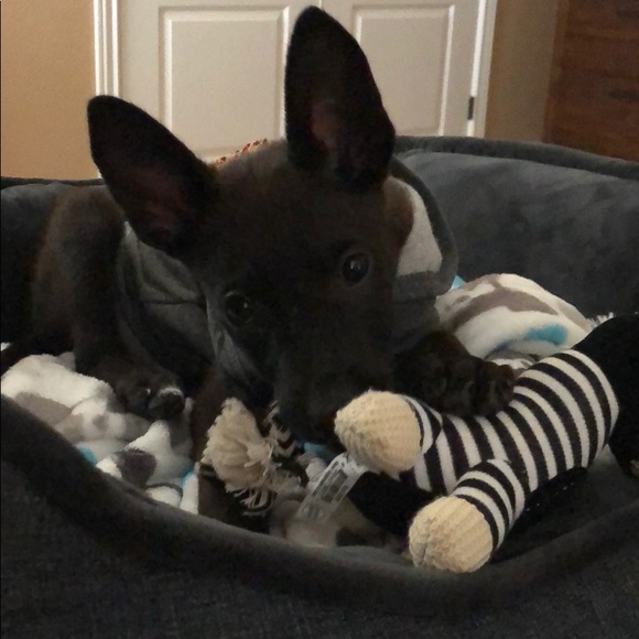 Profile Picture of Noelle Mathew (@nmthew) on Poshmark