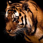 Profile Picture of Madeline Giberlunskley (@hallegavin) on Instagram