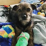 Phinn Kelly-Zuckerman - Instagram Profile Picture of Phinn Kelly-Zuckerman (@phinnkellyzuckerman) on Instagram