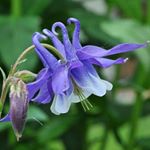 Profile Picture of Daniel Molina (@daniel_molina534) on Instagram