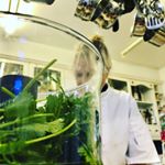 Profile Picture of Sheila Marshall (@chefgwynfa) on Instagram