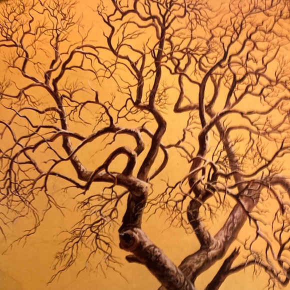 Profile Picture of Marc Wallis (@mlwallisal1) on Poshmark