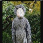 Profile Picture of Julie Dailey (@dailey5219) on Instagram