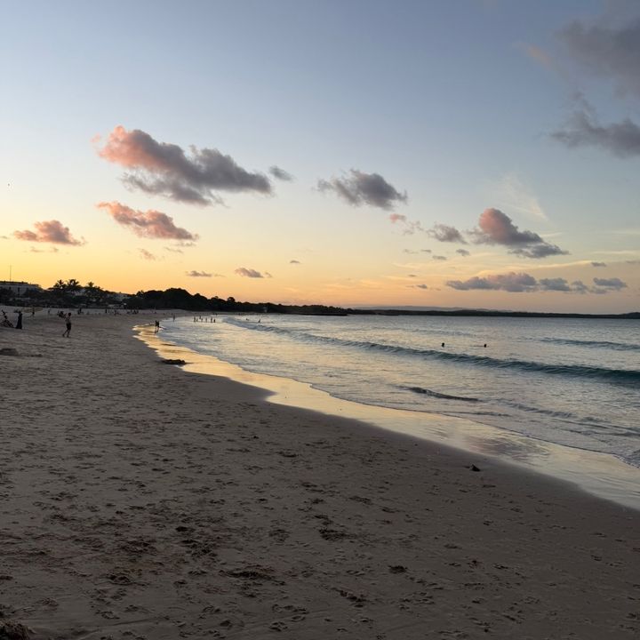 Profile Picture of mabel (@mabelpercy) on Tiktok