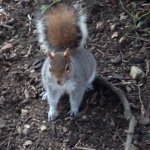 Profile Picture of Thomas Windle (@mars2bars) on Instagram