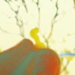 Profile Picture of Gary the Button (@garythebutton) on Instagram