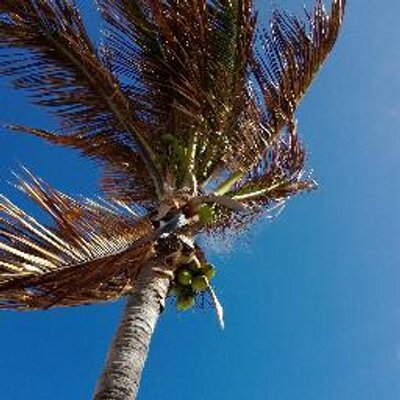 Julia Camp - Twitter Profile Picture of Julia Camp (@julep74) on Twitter