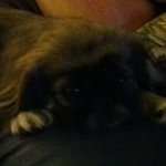 Profile Picture of Kiley Craig (@kileybug12345) on Instagram