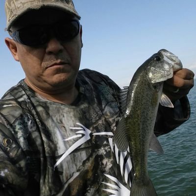 Profile Picture of J. Nestor Silva G. (@NestorsilvaG) on Twitter