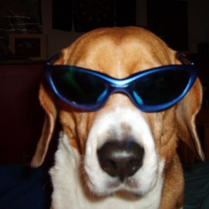 Profile Picture of Joey Winkleman (@freshazimizii) on Myspace