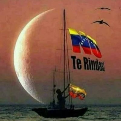 Profile Picture of Oswaldo Castillo (@Oswaldo72455806) on Twitter