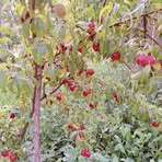 Profile Picture of Mostafa Mirzaei (@Mostafa-Mirzaei) on Facebook