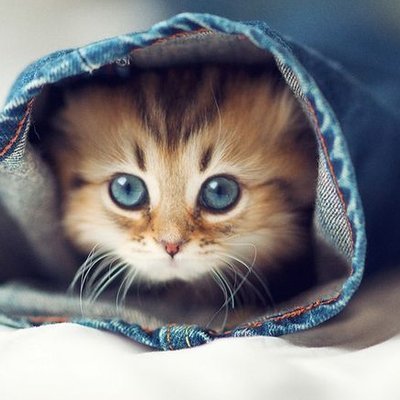 Profile Picture of Oumi (@oumifat) on Twitter
