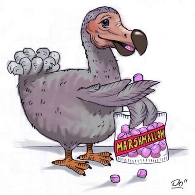 Profile Picture of Derek Walter (@@dezwalter) on Twitter