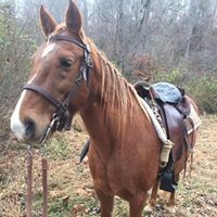 Profile Picture of Matthew Gentry (@matthew-gentry-16) on Quora