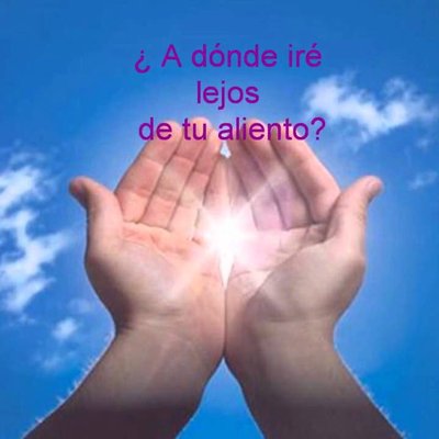 Profile Picture of Hector Luis Morales (@hectorluis1699) on Twitter