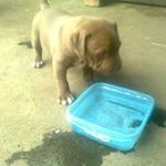 Profile Picture of Bryan Vj Breckenridge (@bryan_real_soldiers) on Instagram