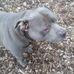 Profile Picture of Kevin Biederman (@kevin.biederman.31) on Facebook