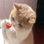 Profile Picture of ZJia Cheng (@chengzjia) on Instagram