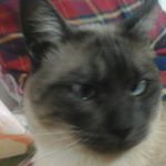 Profile Picture of manuel abuin (@manuelabuin) on Instagram