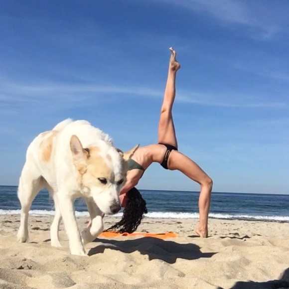 Profile Picture of Barbara Noll (@babsnoll) on Poshmark