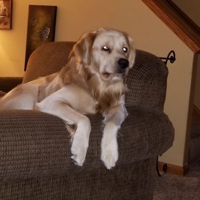 Profile Picture of Scott Weiser (@ScottWeiser9) on Twitter