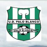 Profile Picture of 💚🤍UD Palo Blanco Feminas🤍💚 (@udpaloblancofem) on Instagram