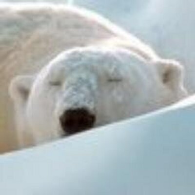 Profile Picture of Brian Yannone (@BrianYannone) on Twitter