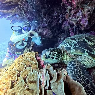 Profile Picture of Patrick Quimby (@patrick_quimby) on Instagram