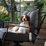 Profile Picture of Leona Stockman-Nicholas (@shortie1018) on Instagram