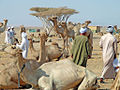 Profile Picture of Shalateenon Wikipedia