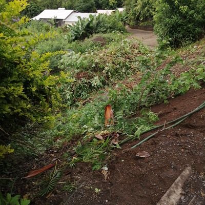 Profile Picture of Bourbon Jean Frédéric (@BourbonJeanFrd1) on Twitter