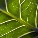 Profile Picture of Andy Enos (@andyenos) on Instagram
