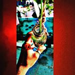 Wilson Sunny - Instagram Profile Picture of Wilson Sunny (@wilson.sunny.2_6_2002) on Instagram