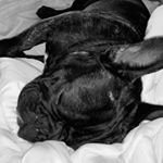 Profile Picture of Isabelle Vazquez🦋 (@isabel.vazquez0608) on Instagram