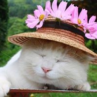 Profile Picture of Trần Liên (@trần-liên-3) on Quora