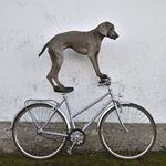 Profile Picture of Clarissa (@clarissahoover.71) on Instagram