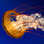 Andreas Ioannou - Flickr Profile Picture of Andreas Ioannou (@crysis_7) on Flickr